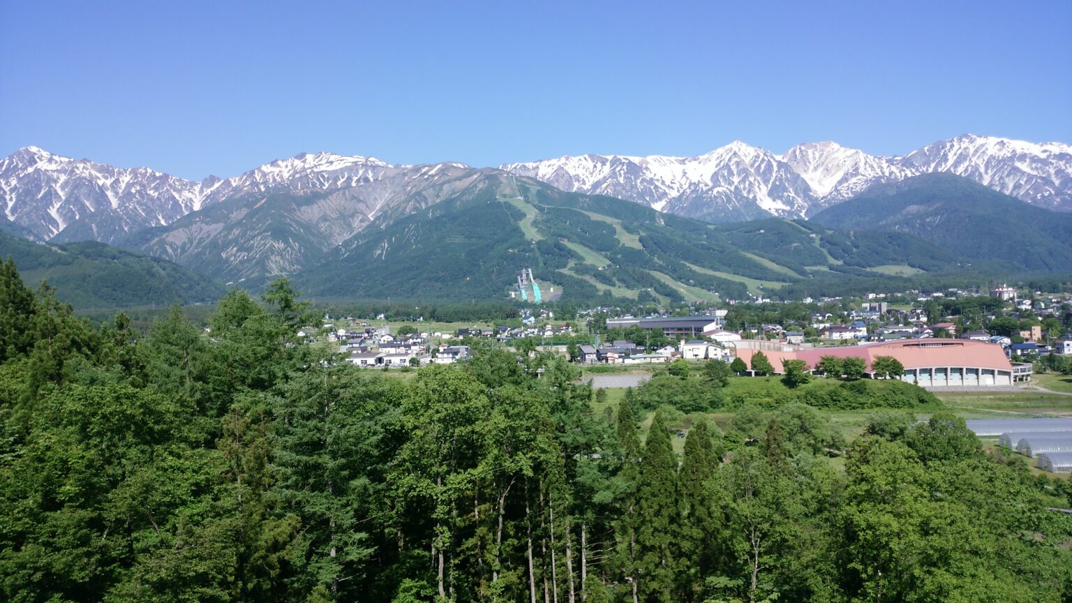 所長の心臓手術体験記 (提供効率化技術研究事務所) 心臓手術が不安でお悩みの方へ 所長の心臓手術体験記 (提供効率化技術研究事務所) 心臓手術が不安でお悩みの方へ